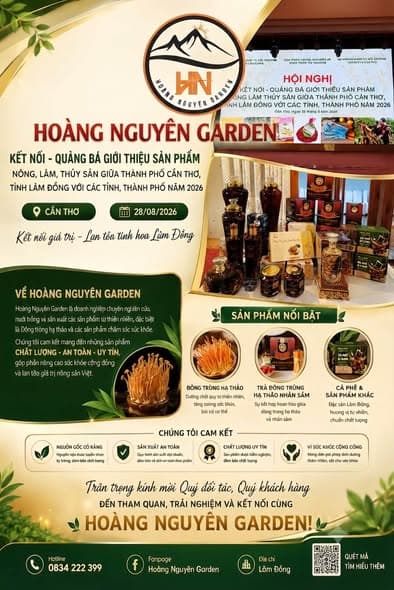 Đông trùng hạ thảo hầm gà ác