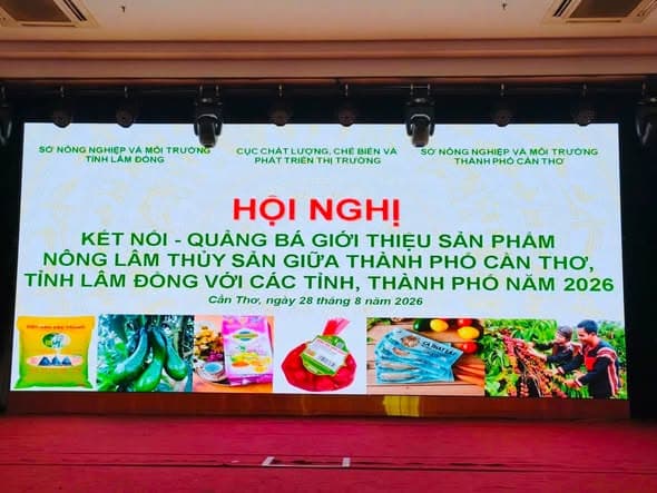 Thư viện hình ảnh Hoàng Nguyên Garden 39