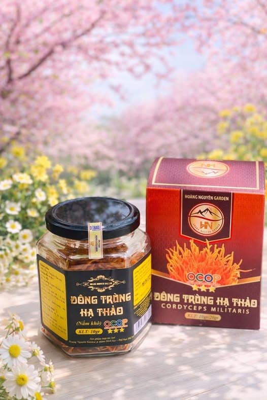 Thư viện hình ảnh Hoàng Nguyên Garden 6