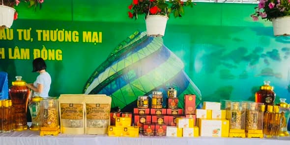 Thư viện hình ảnh Hoàng Nguyên Garden 13