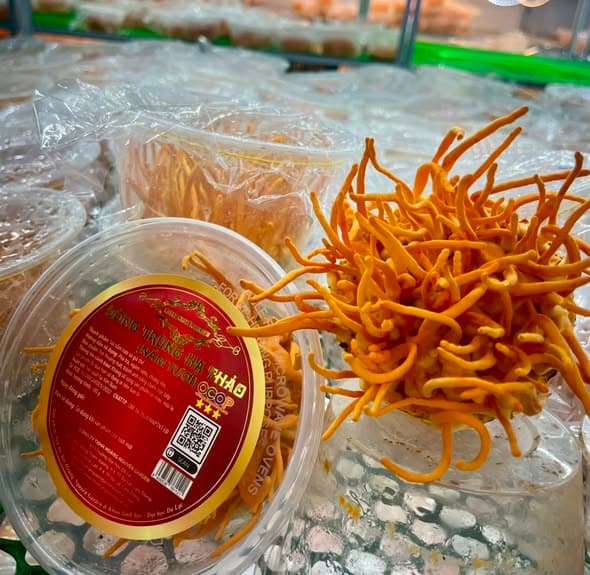 Thư viện hình ảnh Hoàng Nguyên Garden 17