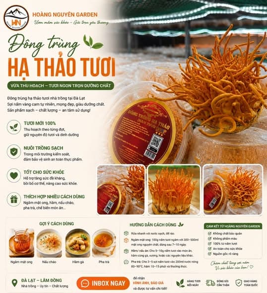 Thư viện hình ảnh Hoàng Nguyên Garden 20