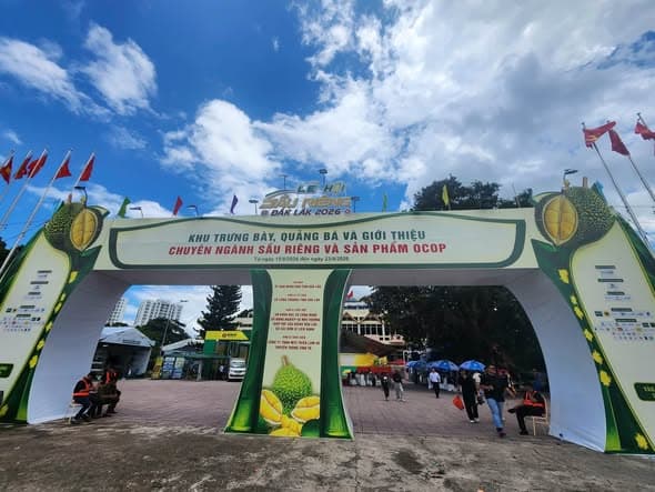 Trà atisô Đà Lạt
