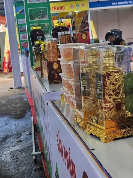 Đông Trùng Hạ Thảo cho vận động viên – Bí quyết tăng thể lực